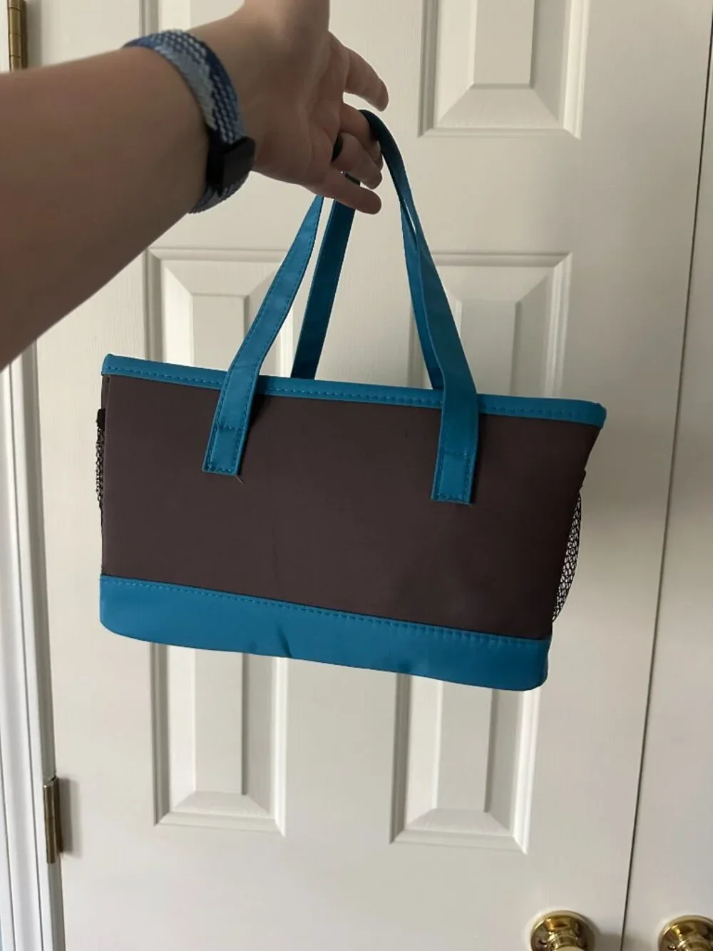 Brown and Blue Multi-Pocket Organizer Tote Bag